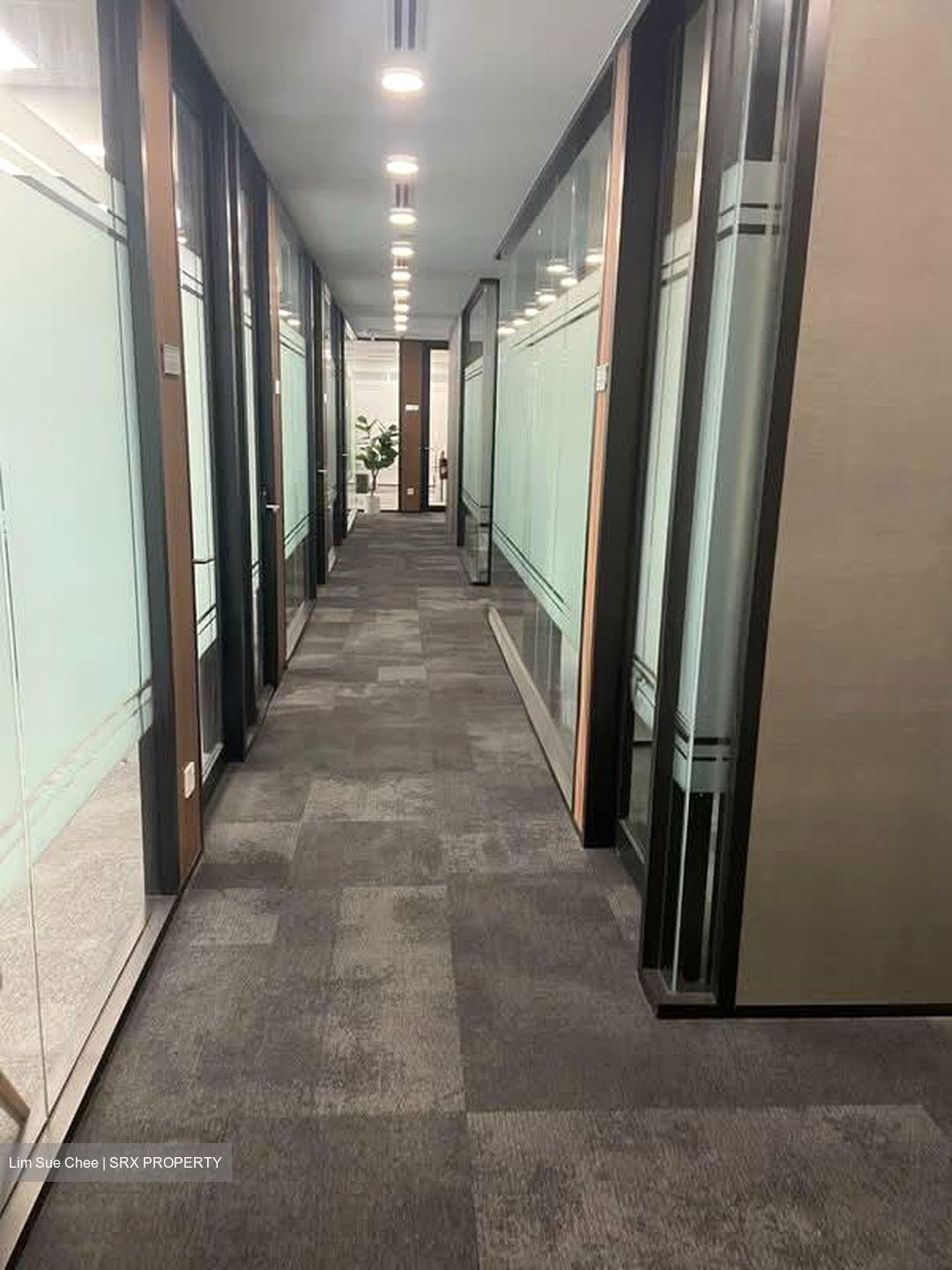 Singapore Land Tower (D1), Office #571677861